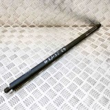 Amortizor Haion Dreapta Tesla Model X 2016 OEM 1065669-00-A Garantie 12 Luni