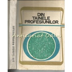 Din Tainele Profesiunilor - D. Salade, G. Munteanu, M. Comes, I. Dragotoiu
