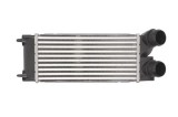 Radiator intercooler CITRO&Euml;N BERLINGO MULTISPACE (B9) (2008 - Prezent) THERMOTEC DAP002TT