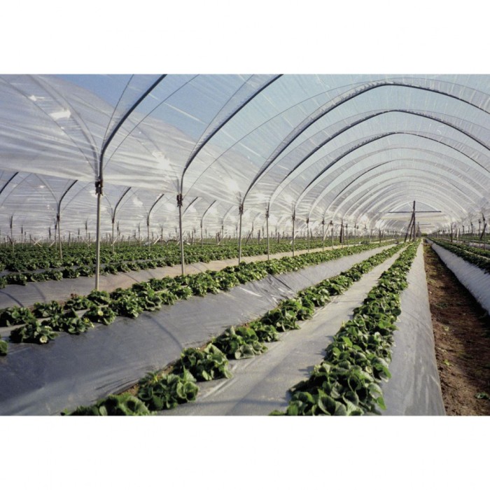 Folie Mulcire 100% biodegradabila 1,2m x 1310 m