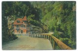 3969 - GORJ, Defileul Jiului, Romania - old postcard - used, Circulata, Printata