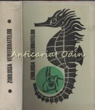 Cumpara ieftin Zoologia Vertebratelor - Al. V. Grossu, Z. Feider - 1967 - 768 pagini - Editura Didactica si Pedagogica
