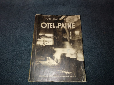 ION CALUGARU - OTEL SI PAINE foto