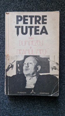 INTRE DUMNEZEU SI NEAMUL MEU - Petre Tutea foto