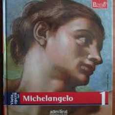 Viaţa şi opera lui Michelangelo, album pictură