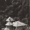 CPI B 11038 CARTE POSTALA - OLANESTI. SANATORIUL DE COPII