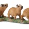 Capibara Pui- Collecta