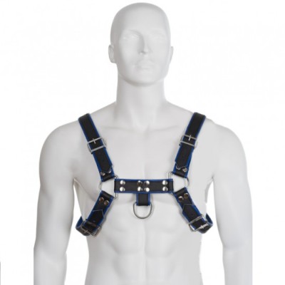 LEATHER BODY - BLUE AND BLACK LEATHER HARNESS CHEST BULLDOG foto