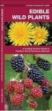 Edible Wild Plants: An Introduction to Familiar North American Species