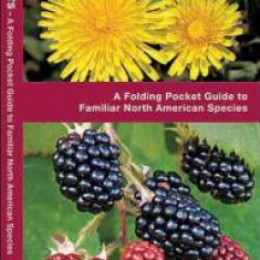 Edible Wild Plants: An Introduction to Familiar North American Species
