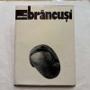 Dan Grigorescu - Brancusi
