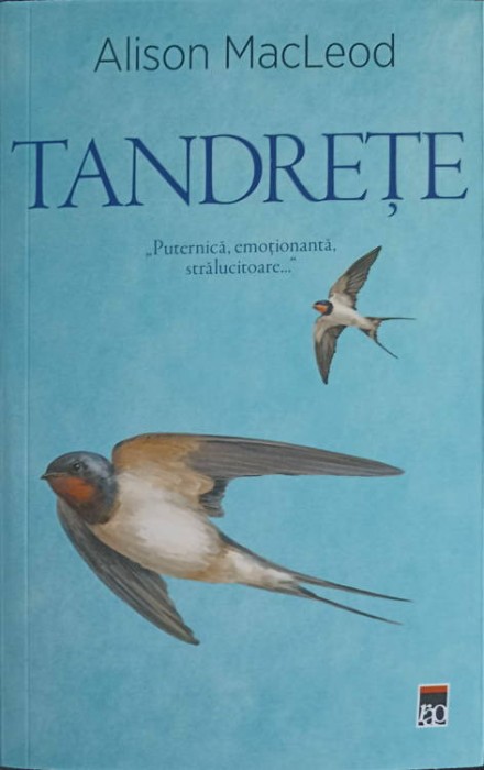 TANDRETE-ALISON MACLEOD