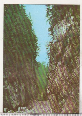 bnk cp Cheile Brusturetului - Vedere - necirculata foto