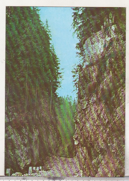 bnk cp Cheile Brusturetului - Vedere - necirculata
