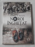 Avital E. M. Baruch - Noroi Inghetat