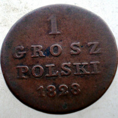 F.114 POLONIA CONGRESS KINGDOM 1 GROSZ POLSKI 1828 FH