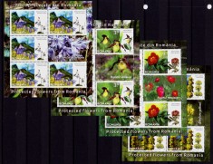 ✅RO 2020 ,LP 2296 &quot; Flori protejate din Romania&quot;, minicoli 5 marci+1vinieta ,MNH