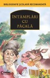 Cumpara ieftin INTAMPLARI CU PACALA, Corint