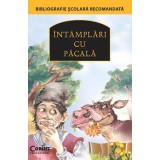 INTAMPLARI CU PACALA