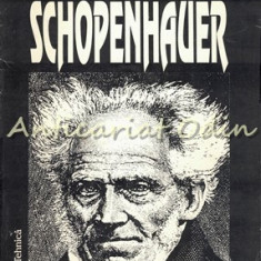 Schopenhauer - Th. Ruyssen