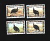 Namibia pasari mnh, Nestampilat