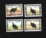 namibia pasari mnh