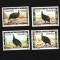 namibia pasari mnh