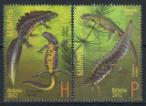 Belarus 2012 Mi 922/23 MNH - Amfibieni, tritoni 27-3, Nestampilat