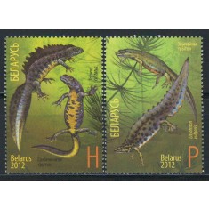 Belarus 2012 Mi 922/23 MNH - Amfibieni, tritoni 27-3
