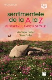 Sentimentele de la A la Z. Fii stapanul emotiilor tale! - Editura Niculescu