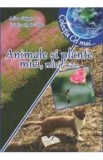 Animale si plante mici, mici, mici... - Adina Grigore, Cristina Ipate-Toma