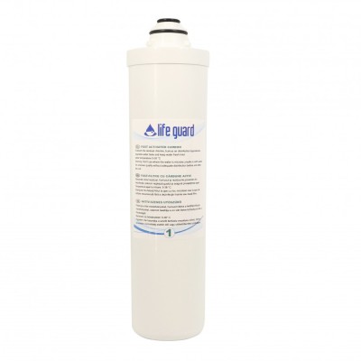 Filtru de rezerva - Post Activated Carbon filter LG-777-1 foto