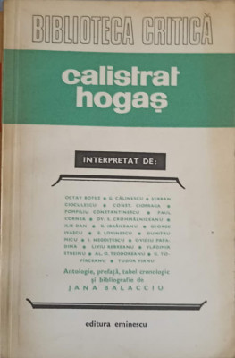 CALISTRAT HOGAS INTERPRETAT-COLECTIV foto