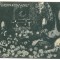 5484 - Regele FERDINAND, catafalcul, Regale - old postcard - used - 1927