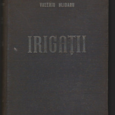 C8205 VALERIU BLIDARU - IRIGATII