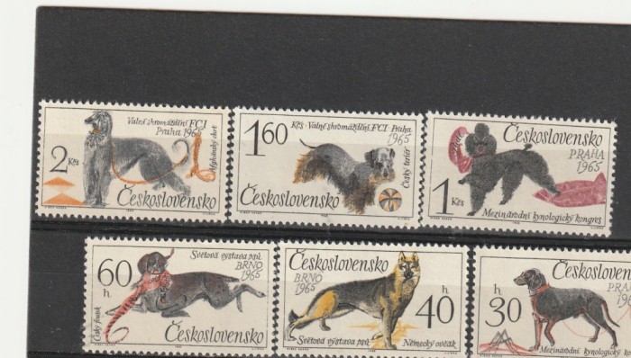 Fauna ,caini de rasa ,Cehoslovacia.