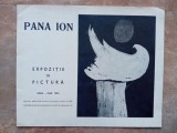 PANA ION &mdash; EXPOZIȚIE DE PICTURĂ, Iunie &ndash; Iulie 1965