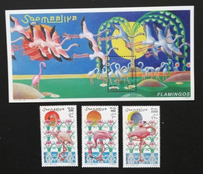 SOMALIA-1998-PASARI-FLAMINGO-Serie 3 V.+1 Coala Mica**SOM 110 foto