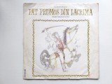 Mihai Eminescu &ndash; Făt-Frumos din lacrimă - disc vinil Electreord 1970
