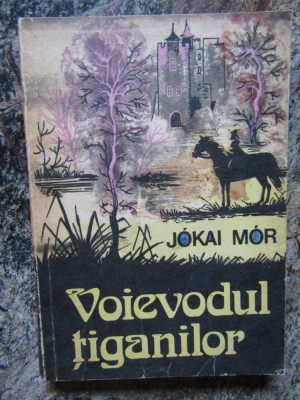 Voievodul Tiganilor - Jokai Mor foto