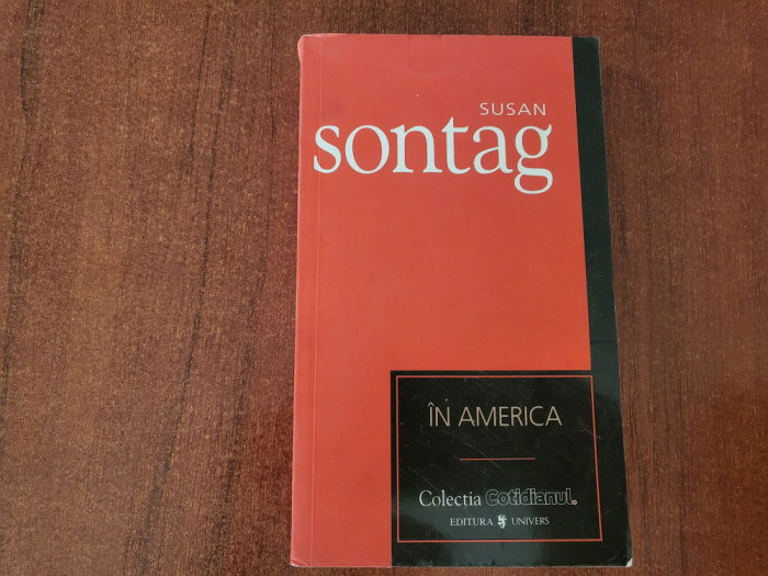 In America de Susan Sontag