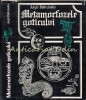 Metamorfozele Goticului - Jurgis Baltrusaitis, Meridiane 1978, Carte Constructii, Cartonata, 362 pagini