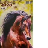 Calendar de perete 12 file. Cai 2026