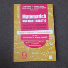 MATEMATICA CLASA A IX A EXERCITII SI PROBLEME REZOLVATE VALENTIN NICULA