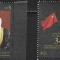 EMIRATELE ARABE UNITE 2018 RELATII DIPLOMATICE CU CHINA