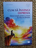Cum sa invingi depresia - Jan Marsh, Editura Niculescu, 2024, Psihologie, 200 pagini, Editie Necartonata