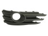 Grila ventilatie, bara protectie OPEL VECTRA C Combi (2003 - 2016) BLIC 5513-00-5078923P