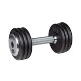 Gantera fixa 10 kg inSPORTline din fonta, cu maner cromat antiderapant