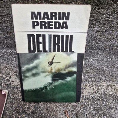 Delirul - Marin Preda foto