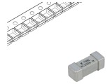Siguranță &Icirc;nt&acirc;rziere 5A 250VAC SMD Ceramică